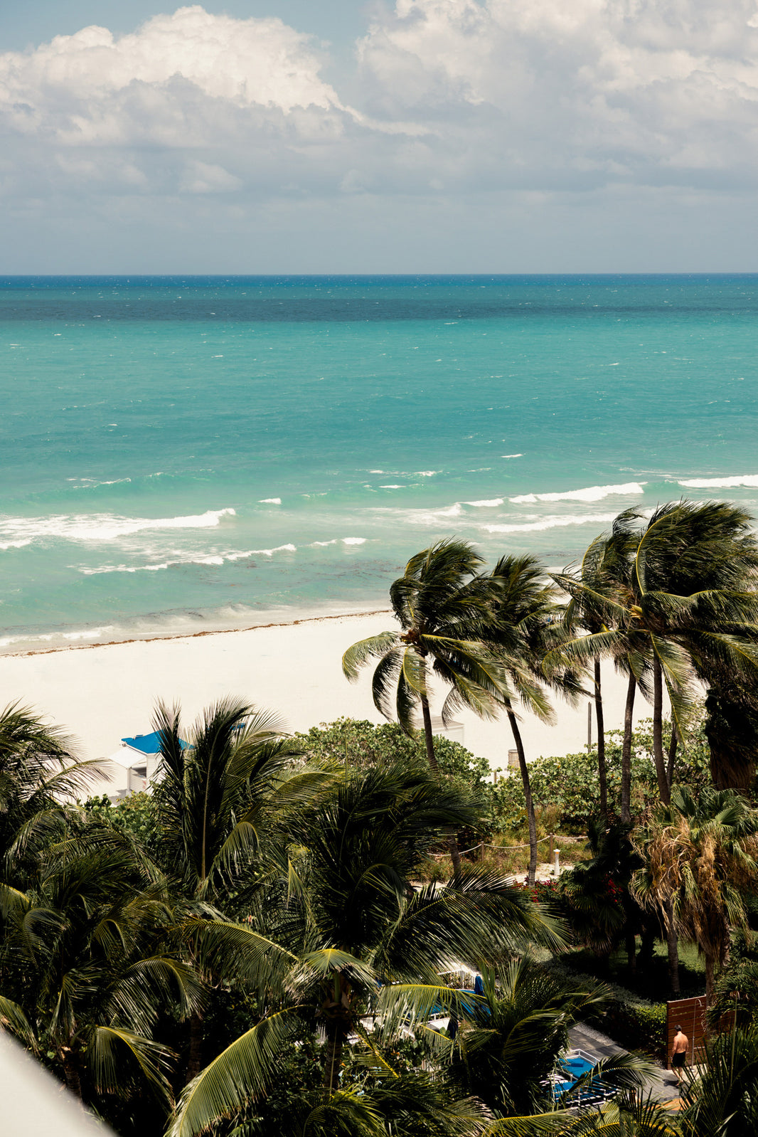 Andrea Iyamah Takes Miami Beach: The Blue Oasis