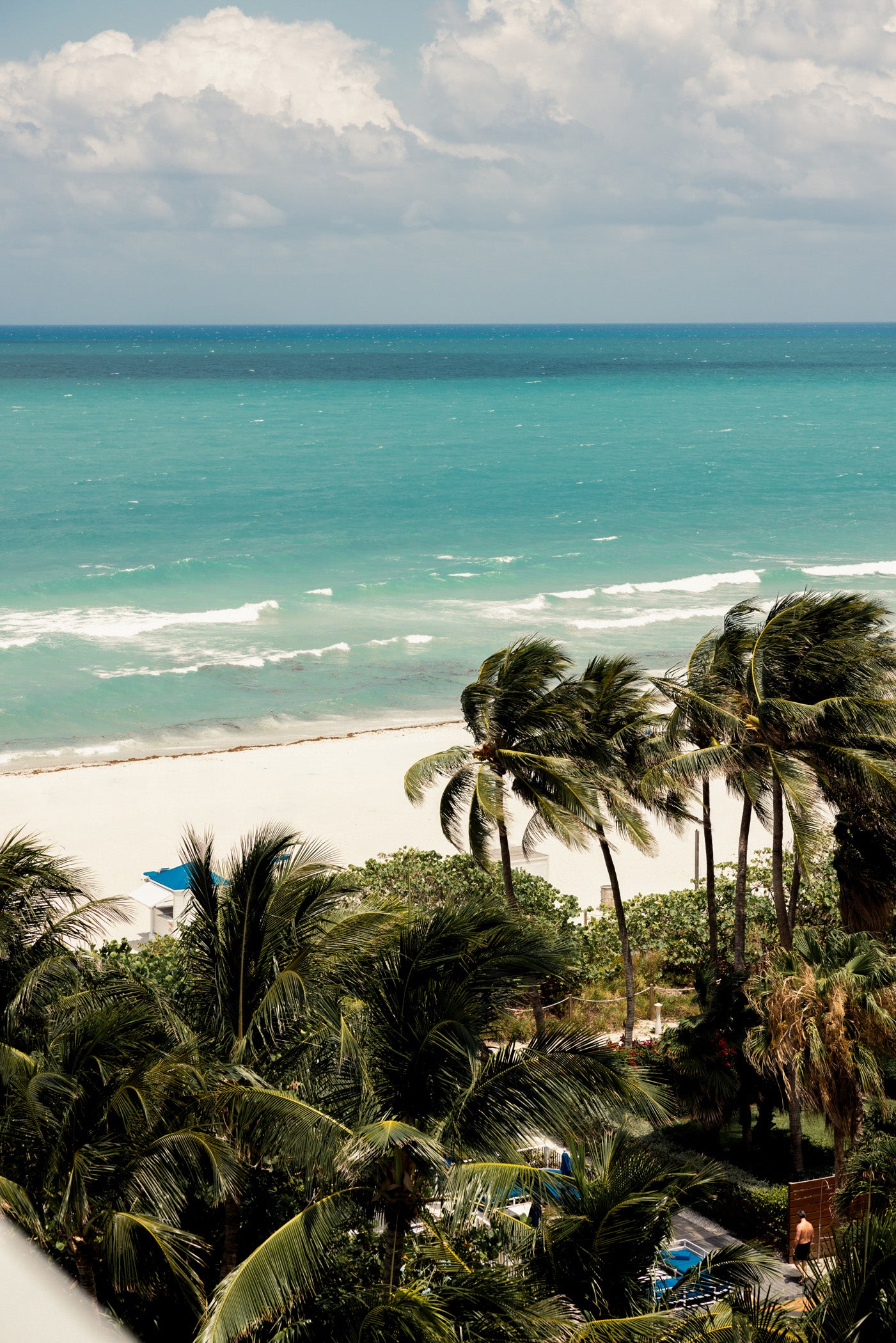 Andrea Iyamah Takes Miami Beach: The Blue Oasis